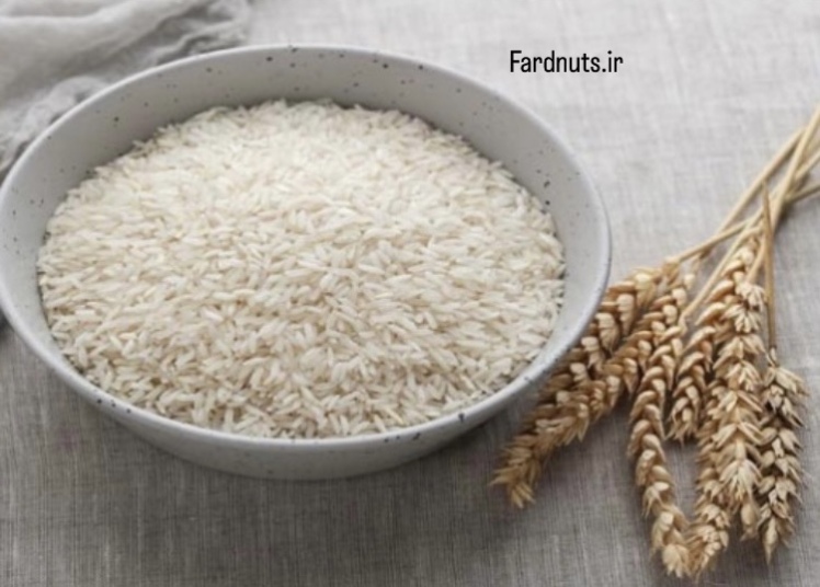 برنج شیرودی 5 کیلویی